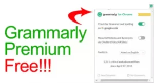 Grammarly Premium For Students
