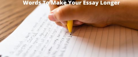 words to use to make an essay longer