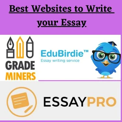 Essay writing websites