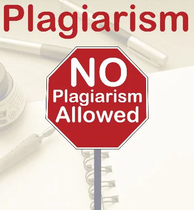 no plagiarism